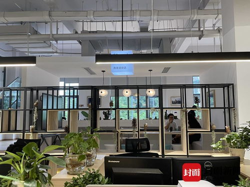探訪成都金牛“雙中心” 這個極具設(shè)計感的服務(wù)空間，如何重塑咨詢與策劃體驗？